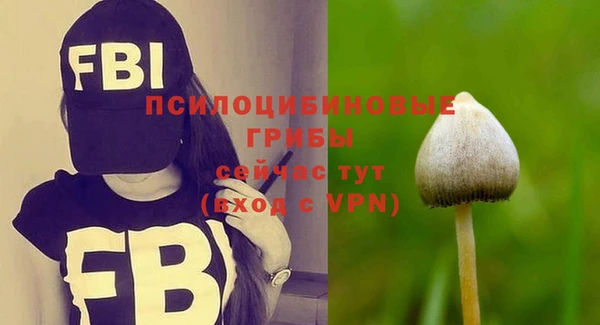 дурь Кодинск